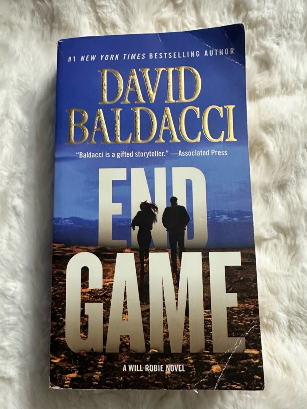 "End Game" By David Baldacci - Paperback Novel - Blue Cover